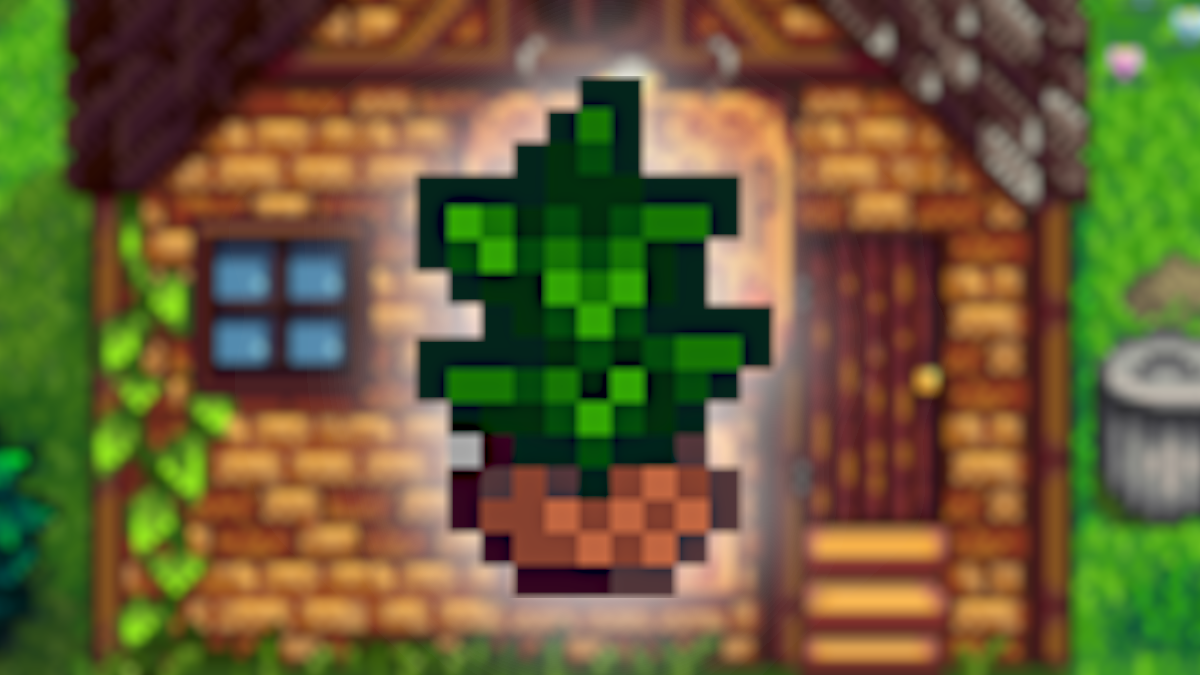 Tea Sapling in Stardew Valley